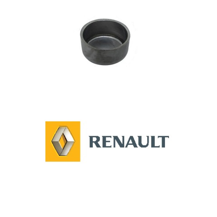 Заглушка головки Ларгус 16клапанный 14мм метал Renault