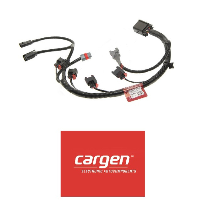 Проводка форсунок ДВС 21129 Xray Cargen