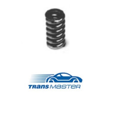Пружина приемной трубы Transmaster
