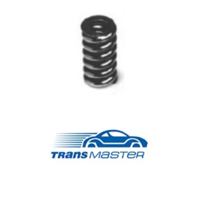Пружина приемной трубы Transmaster